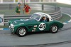 Ninco - Austin Healey